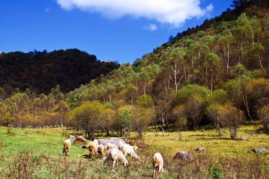 关山湖风景区游玩攻略_关山湖风景区游玩攻略_关山湖风景区游玩攻略