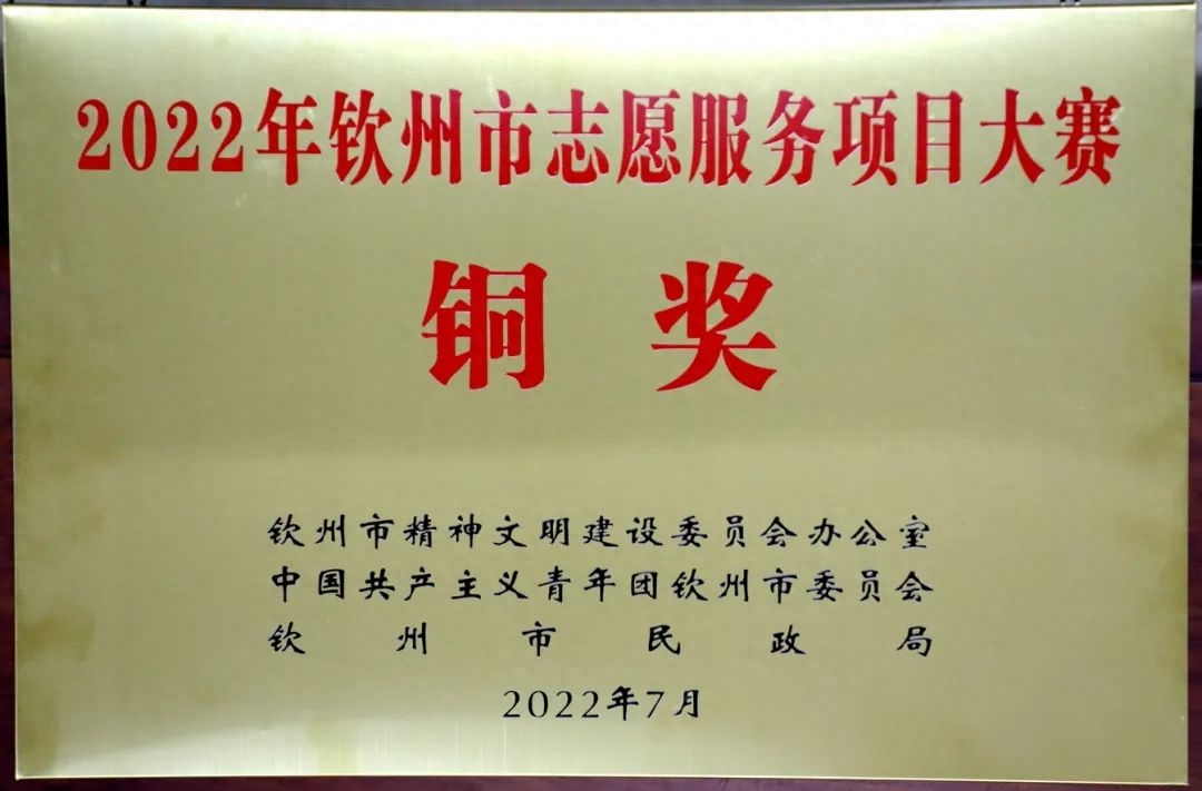 村团支部书记工作总结_村团支部书记工作总结_村团支部书记工作总结