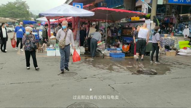 谁知最大花鸟鱼虫市场在哪？观赏鱼价格如此便宜，看到都会心动