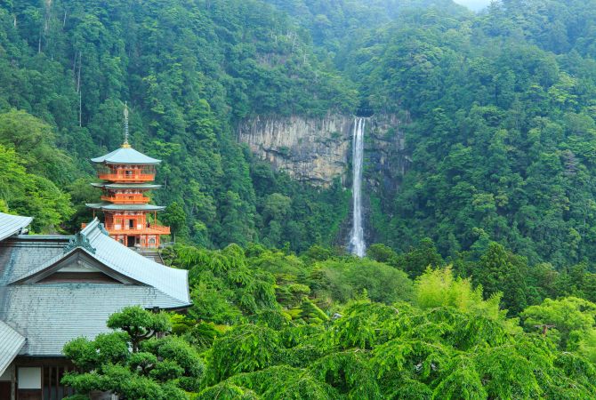 中青旅日本旅游线路推荐（畅游日本必去景点）