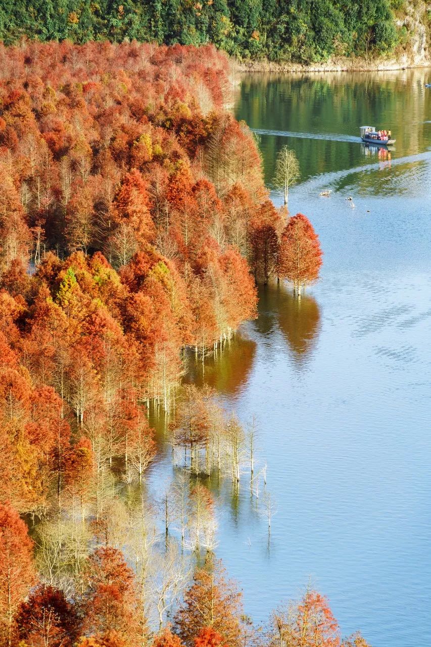 安徽塔川自驾游攻略_安徽塔川旅游攻略_安徽塔川景点介绍