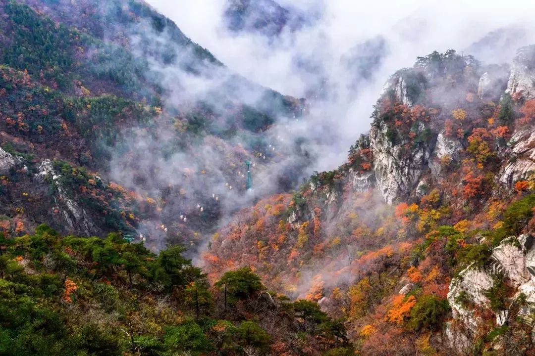 安徽塔川自驾游攻略_安徽塔川旅游攻略_安徽塔川景点介绍