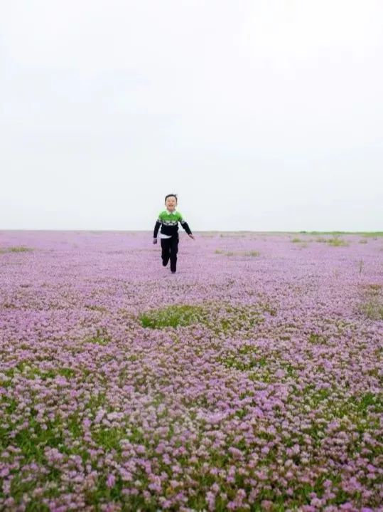 安徽塔川自驾游攻略_安徽塔川旅游攻略_安徽塔川景点介绍