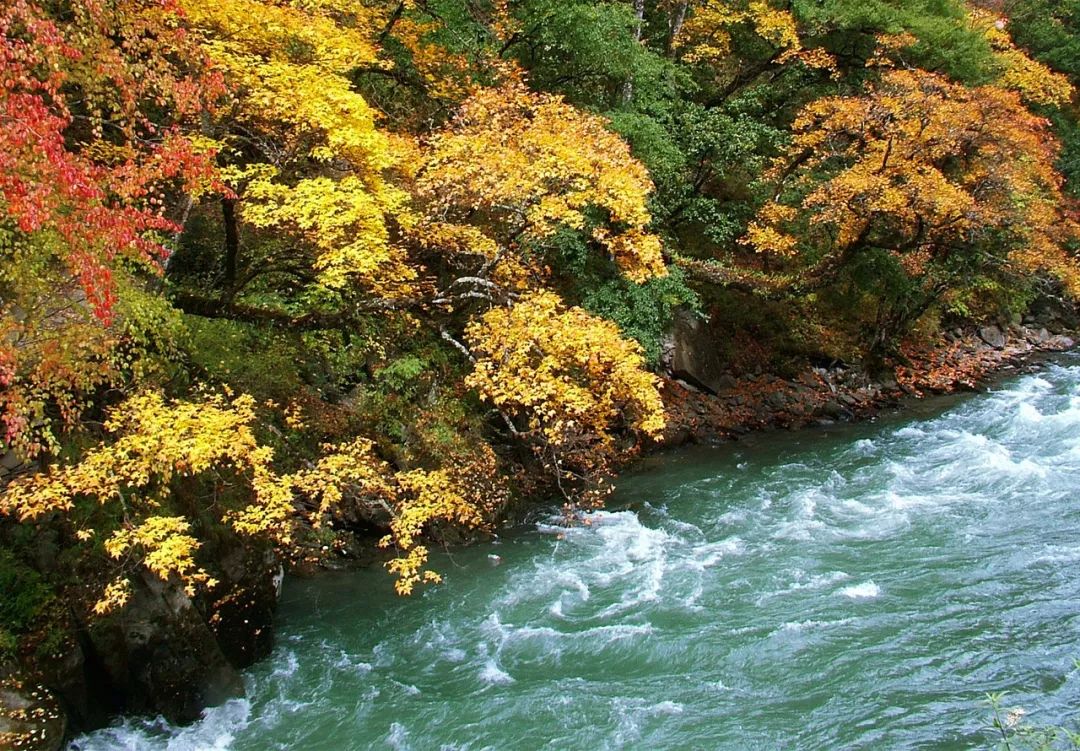 安徽塔川景点介绍_安徽塔川自驾游攻略_安徽塔川旅游攻略