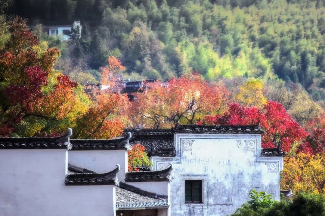 安徽塔川旅游攻略_安徽塔川自驾游攻略_安徽塔川景点介绍