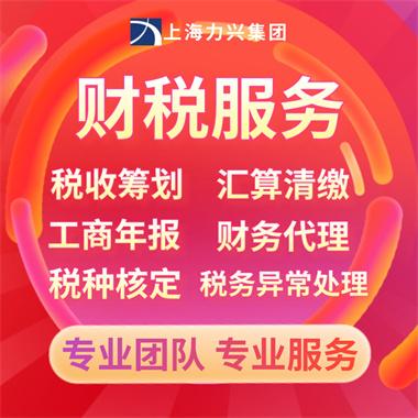 代理记账一般纳税人多少一个月_一般纳税人代理记帐多少钱_纳税记账代理一般人月收入多少