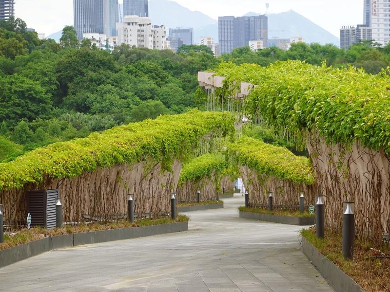 深圳笔架山公园游玩攻略_深圳笔架山公园门票_深圳笔架山公园入口