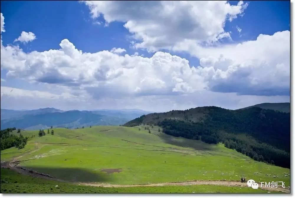 山西云顶山一日游攻略_山西云顶山好玩吗_山西云顶山风景区门票价格