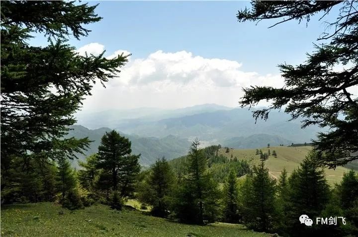 山西云顶山一日游攻略_山西云顶山风景区门票价格_山西云顶山好玩吗