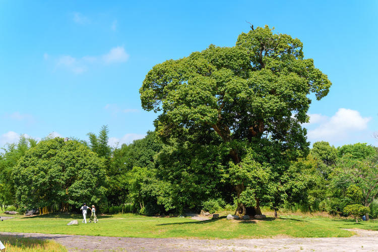 神仙旅游景点_神仙居旅游朋友圈说说_神仙居攻略二日游自由行