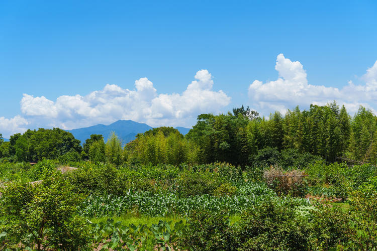 神仙旅游景点_神仙居旅游朋友圈说说_神仙居攻略二日游自由行