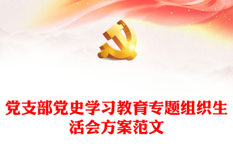 高校教师党支部工作总结_高校党支部年度工作总结_高校教师党支部工作职责