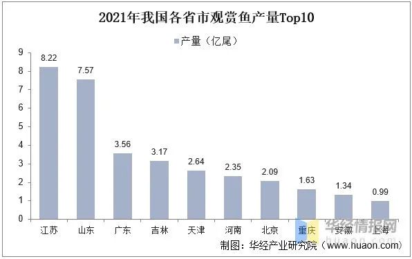 鲤科鱼好养吗_鲤科观赏鱼_十种鲤科鱼