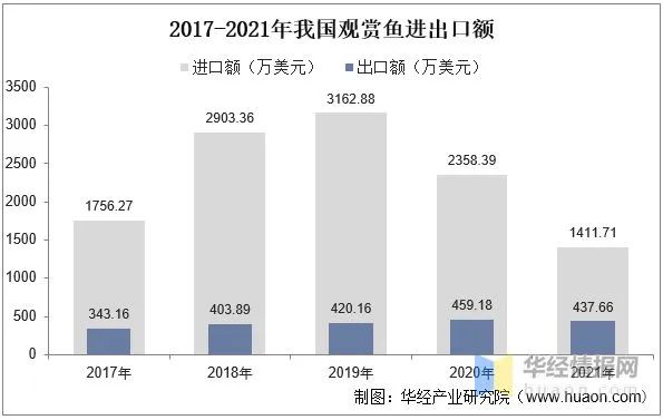 十种鲤科鱼_鲤科观赏鱼_鲤科鱼好养吗