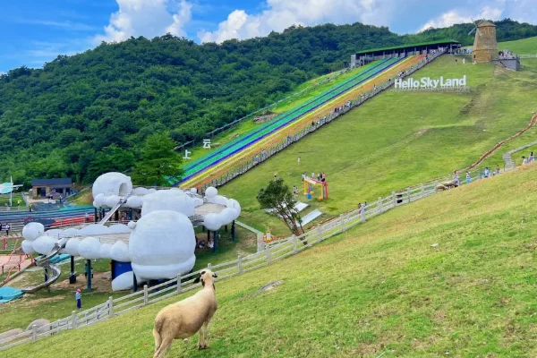 丹风有什么景点_浙江丹山风景区旅游攻略一日游_丹凤山景区