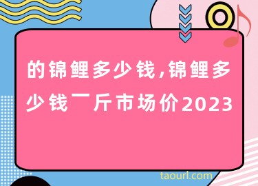 锦鲤鱼市场价格多少钱一斤_锦鲤鱼价格_观赏鱼锦鲤价格