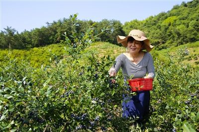 游玩千岛湖攻略_游千岛湖攻略_千岛湖游记+攻略