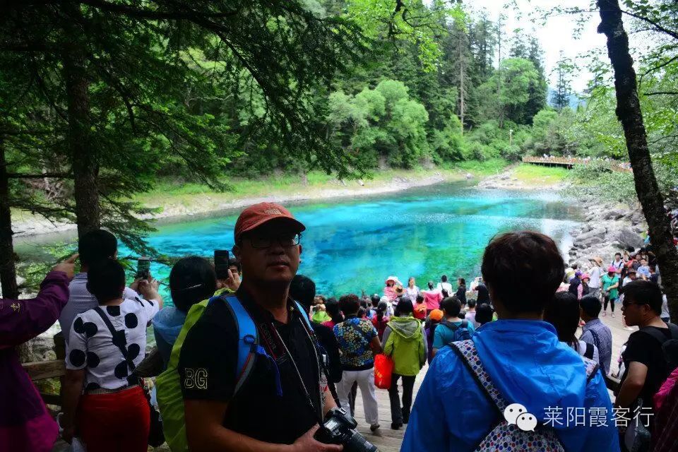 上海九寨沟自驾游攻略_上海去九寨沟旅游费用标准_上海到九寨沟自由行攻略