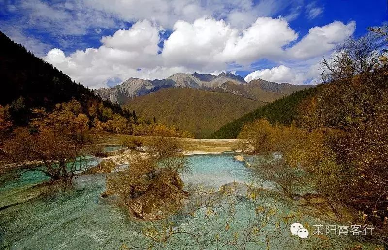 上海去九寨沟旅游费用标准_上海到九寨沟自由行攻略_上海九寨沟自驾游攻略