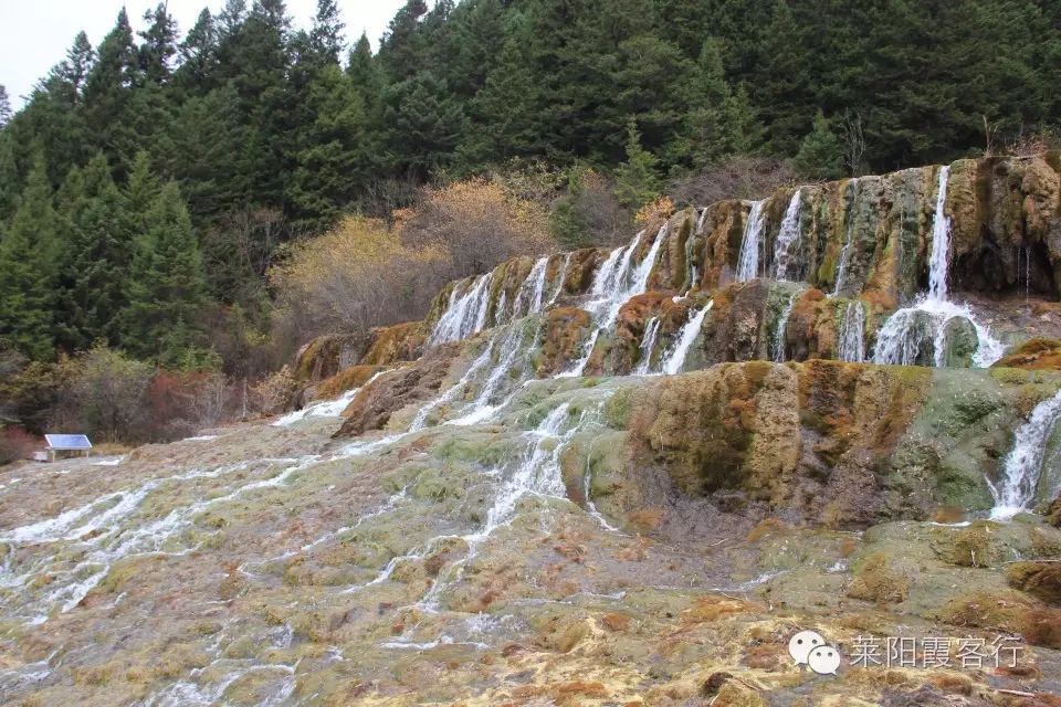 上海到九寨沟自由行攻略_上海去九寨沟旅游费用标准_上海九寨沟自驾游攻略