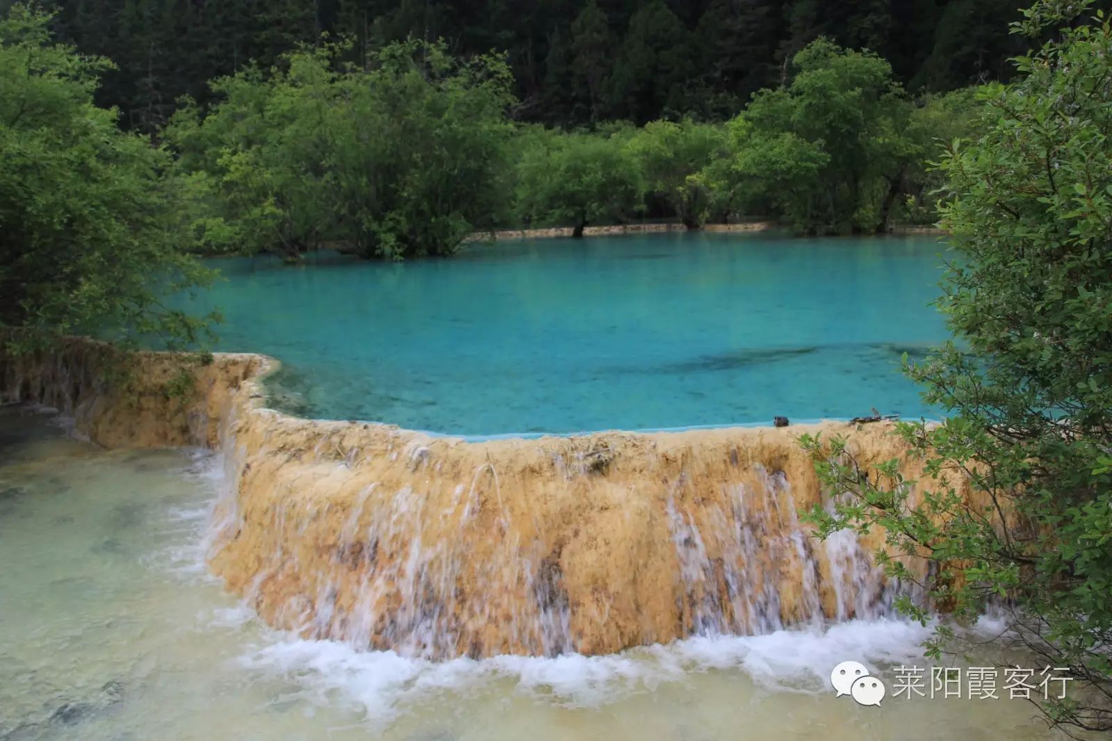 上海去九寨沟旅游费用标准_上海到九寨沟自由行攻略_上海九寨沟自驾游攻略