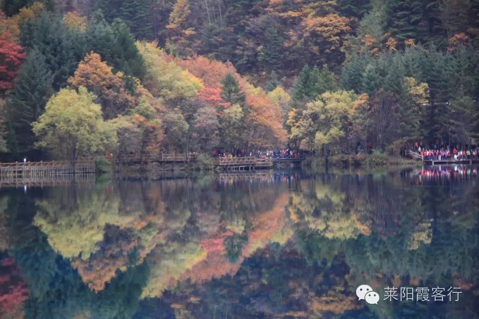 上海去九寨沟旅游费用标准_上海九寨沟自驾游攻略_上海到九寨沟自由行攻略