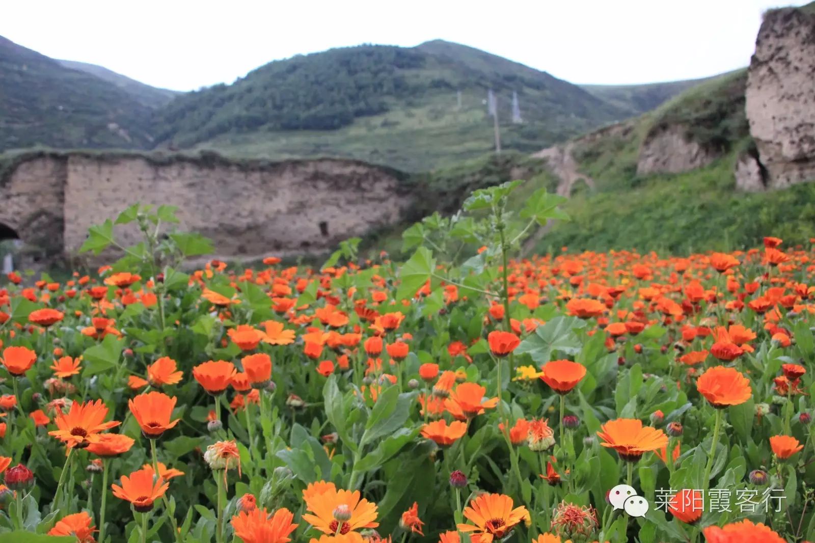 上海九寨沟自驾游攻略_上海到九寨沟自由行攻略_上海去九寨沟旅游费用标准