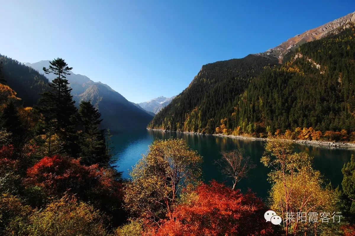 上海去九寨沟旅游费用标准_上海到九寨沟自由行攻略_上海九寨沟自驾游攻略