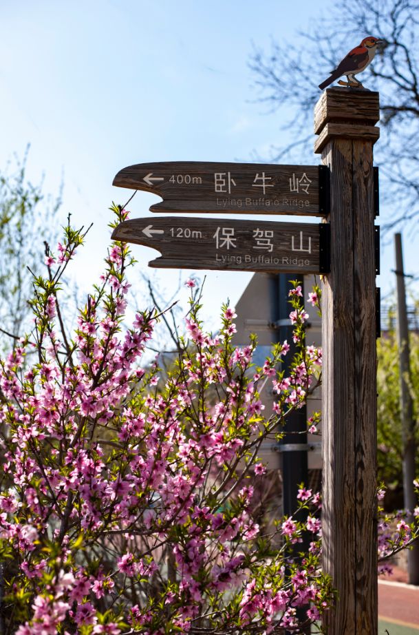 连云港连岛风景区旅游攻略_连云港的风_连云港连岛海风情海景假日酒店