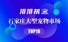 厦门最大的观赏鱼市场_厦门哪里有观赏鱼批发市场_厦门淡水鱼批发市场