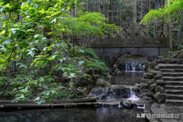 龙井旅游_龙井旅游景点哪里好玩_龙井旅游攻略必玩的景点