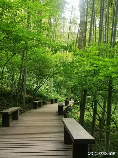 龙井旅游景点哪里好玩_龙井旅游攻略必玩的景点_龙井旅游