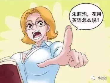 漫画用英语翻译_漫画英文_漫画英文怎么说