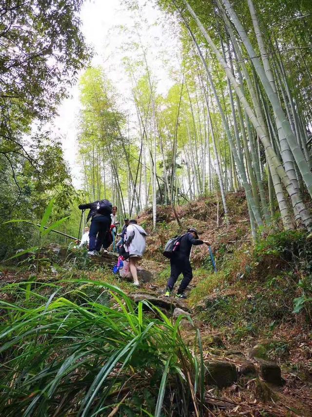 从化溪头村徒步路线_从化溪头露营基地_从化溪头村露营旅游攻略